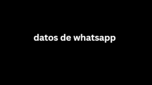 datos de whatsapp