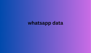 whatsapp data